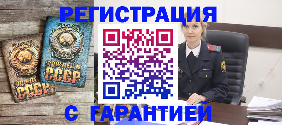 прописка для школы в Куртамыше